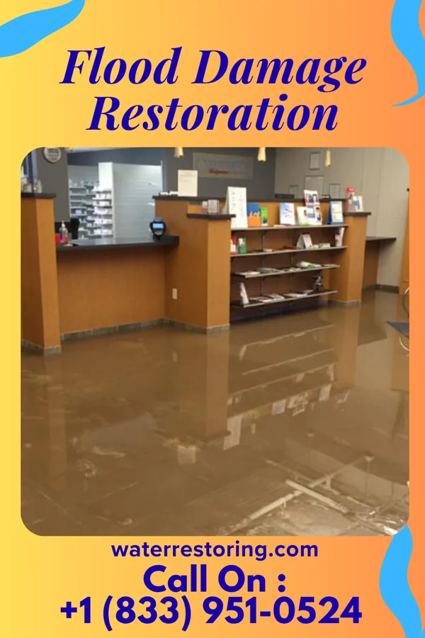 Flood Damage Restoration in Logansport, IN