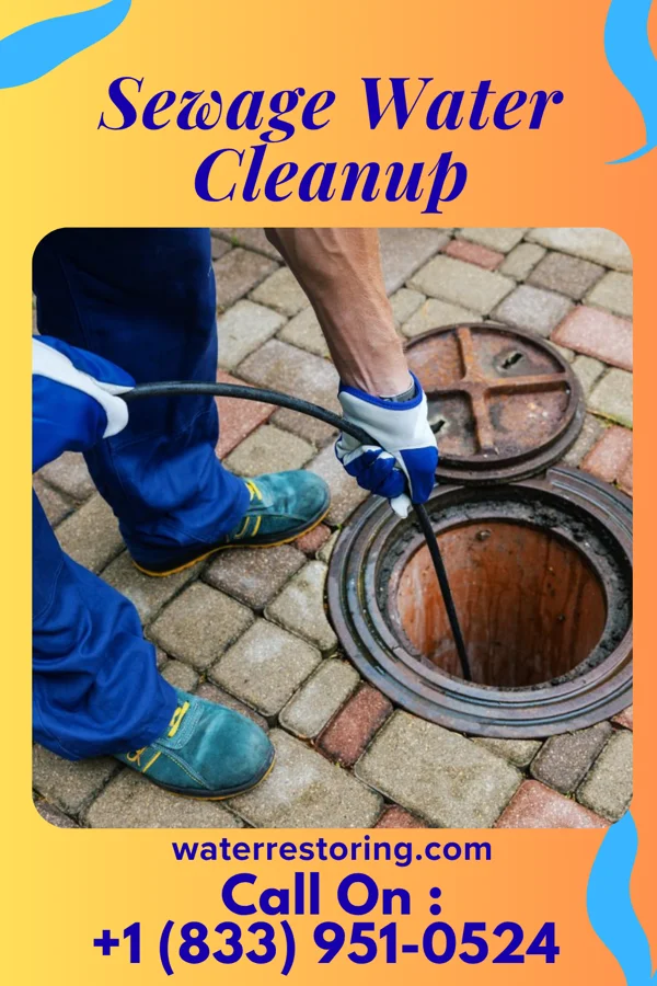 Sewage Water Cleanup in Logansport, IN