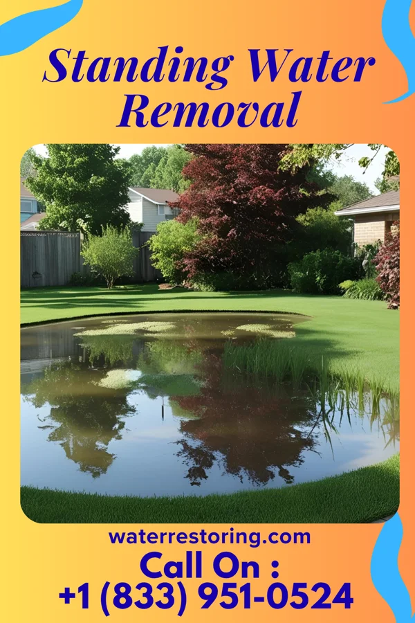 Standing Water Removal in Logansport, IN